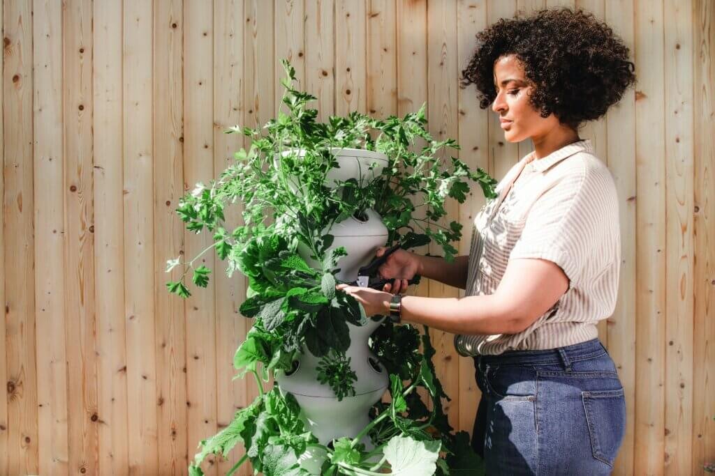 Best Ways To Grow A Successful DIY Vegetable Garden