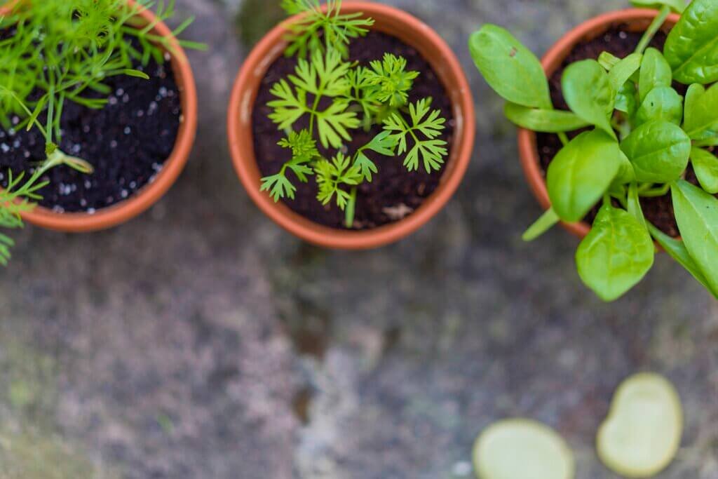 DIY Guide To Making A Garden Herb Spiral