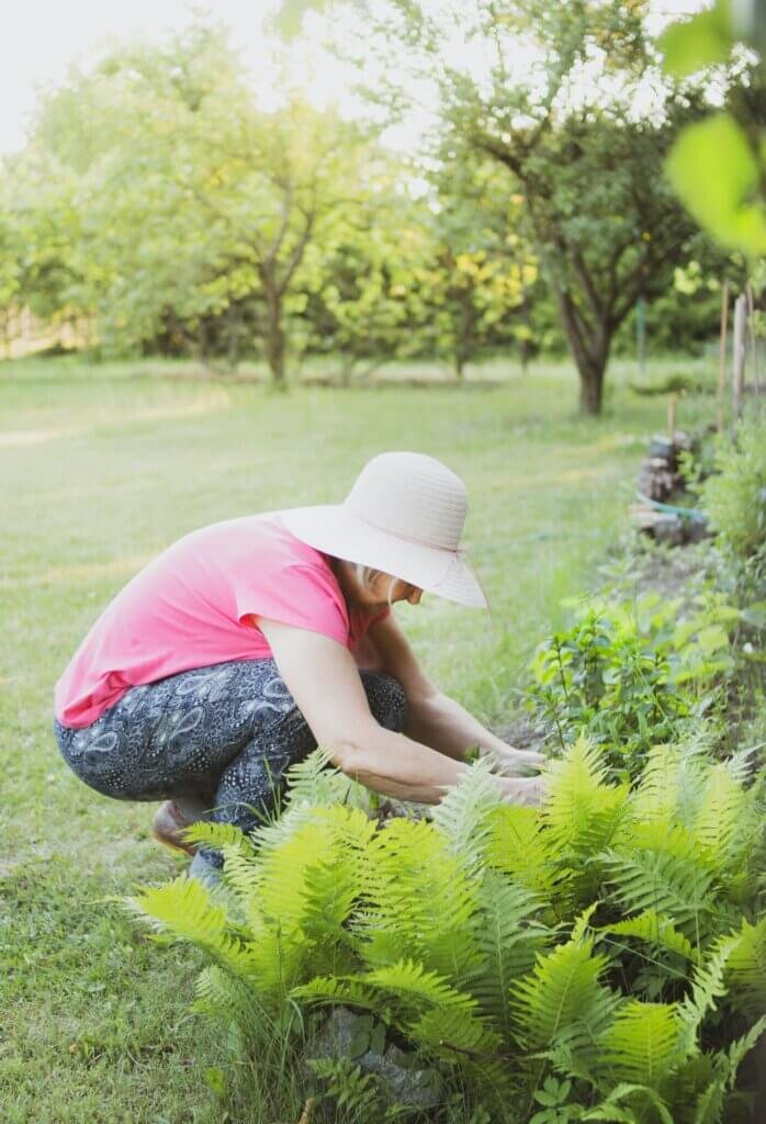 Best Ways To Incorporate DIY Stepping Stones In Your Garden