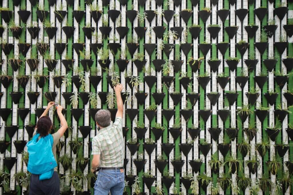 The Best Ways To Create A Vertical Garden In Small Spaces